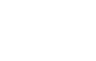 Instituto Guadalupe de Estudios Superiores